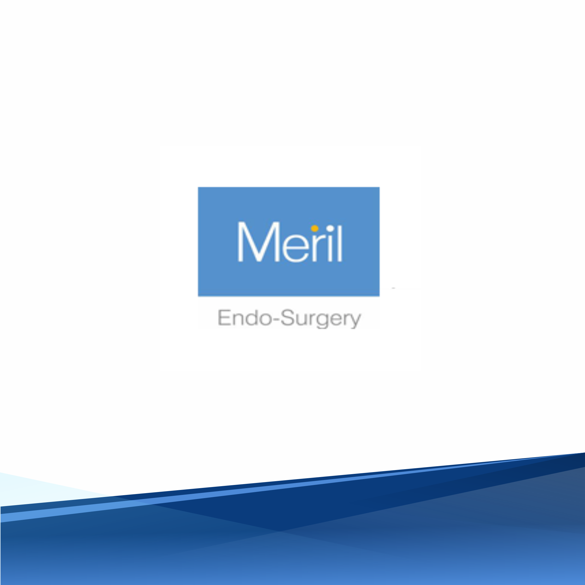 prince computech client 12 meril